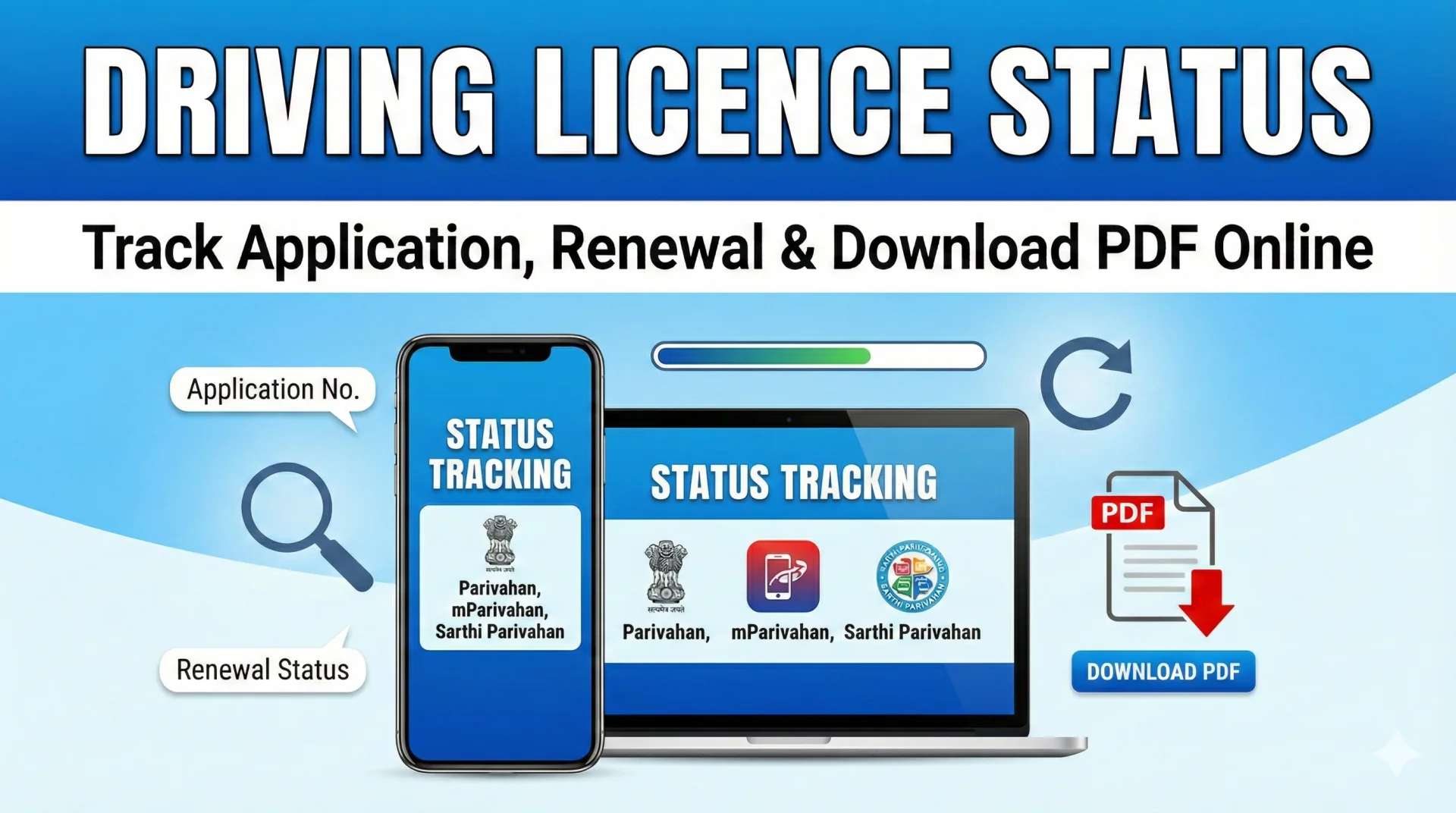 Driving licence status